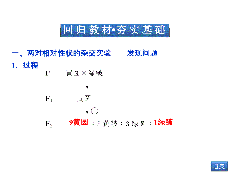 《自由组合定律》ppt课件-2_第3页