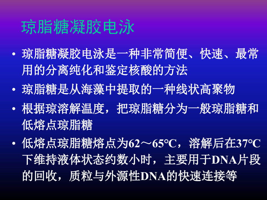 《cr扩增产物的分析》ppt课件_第3页