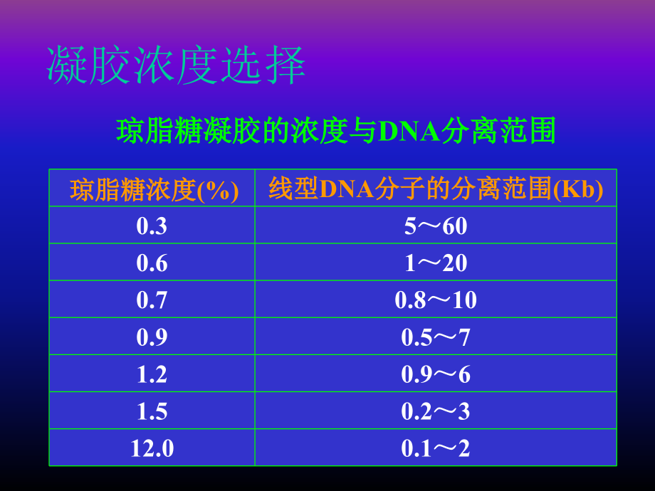 《cr扩增产物的分析》ppt课件_第4页