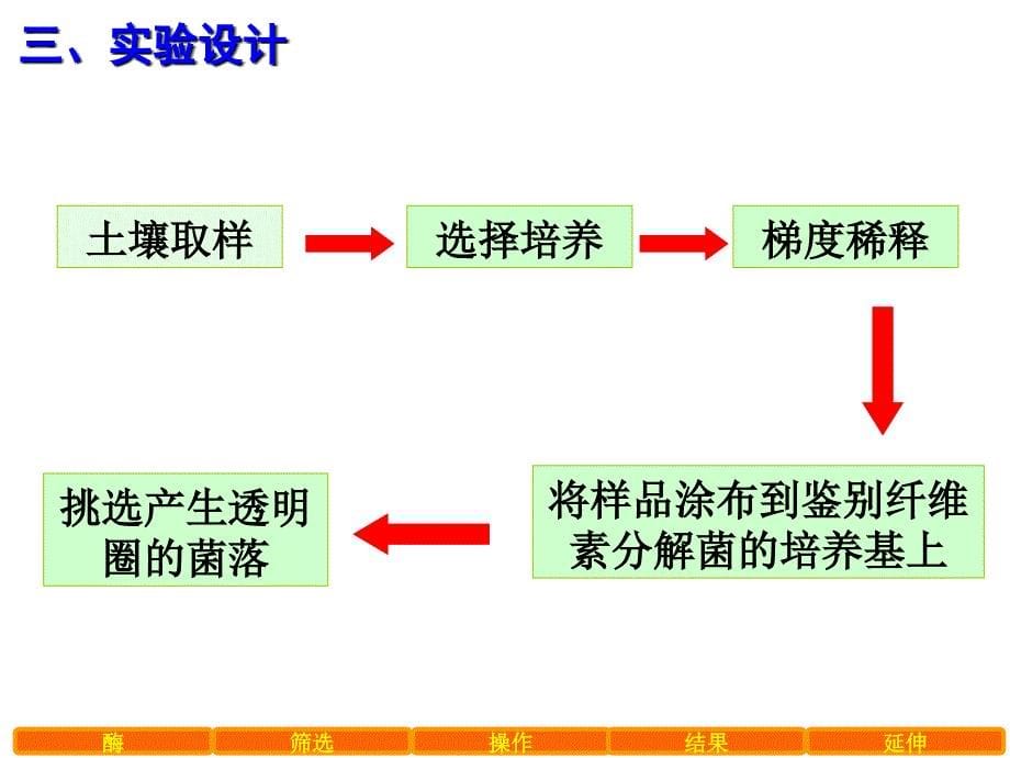 高中生物精品教学课件分解纤维素的微生物的分离5人教版选修_第5页