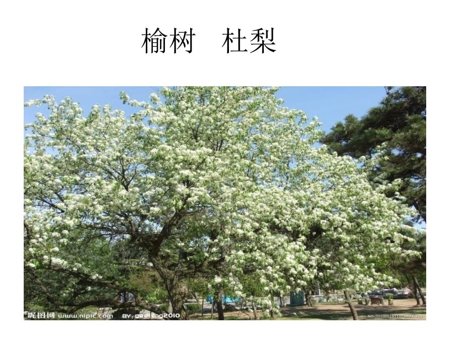 《济南市商河县盛茂》ppt课件_第4页