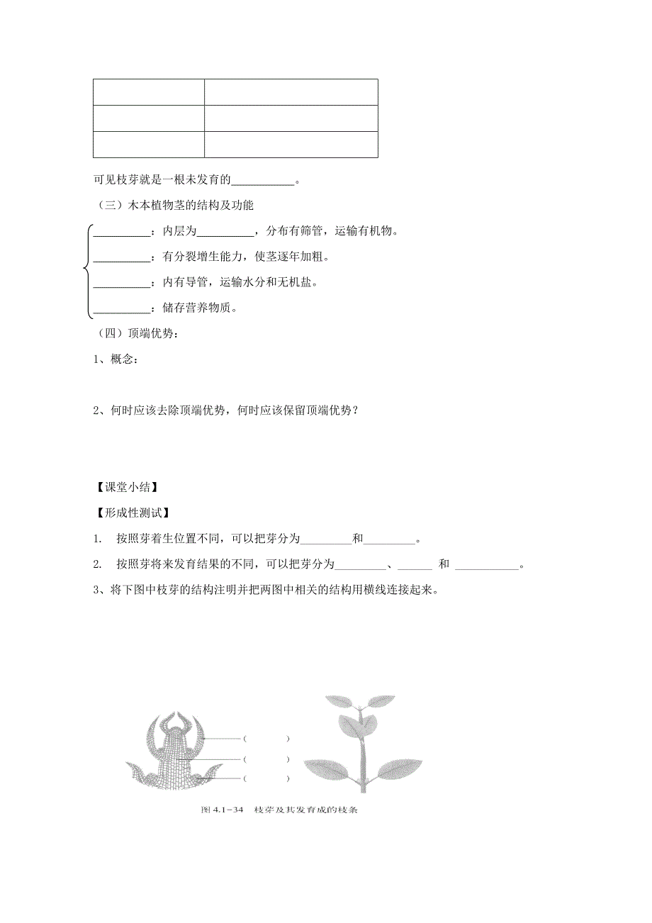 《芽的类型和结构》学案1（济南版八年级上）_第2页