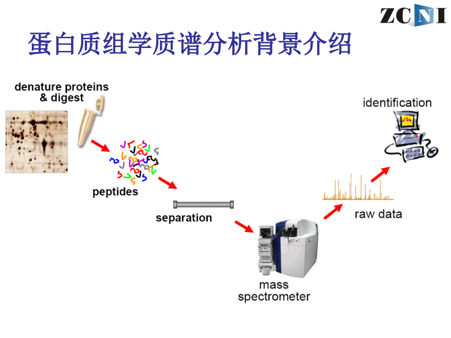 [计算机软件及应用]蛋白质组学数据分析_第3页