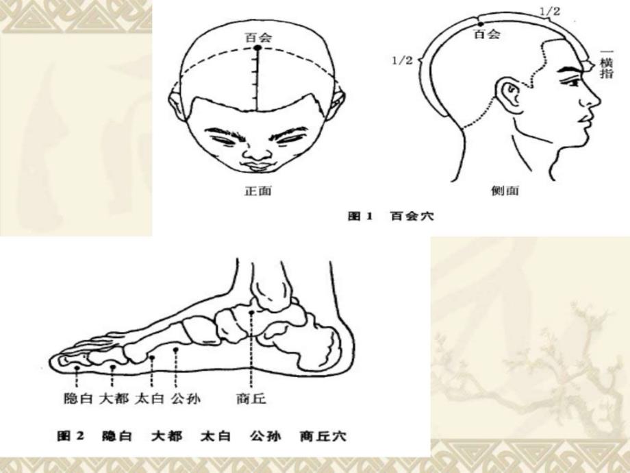 《中医特色针灸配穴》ppt课件_第3页