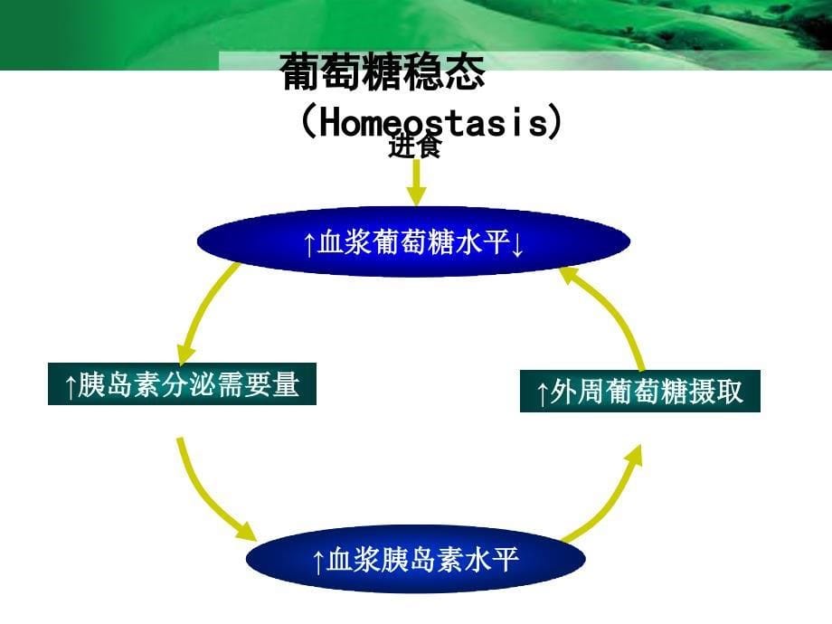 《心内科医生讲座》ppt课件_第5页