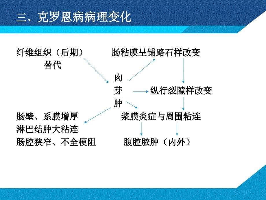 《克罗恩讲座》ppt课件_第5页