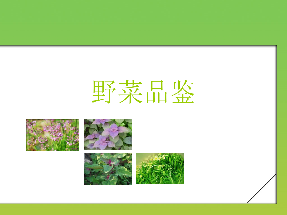 《野菜品鉴》ppt课件_第1页