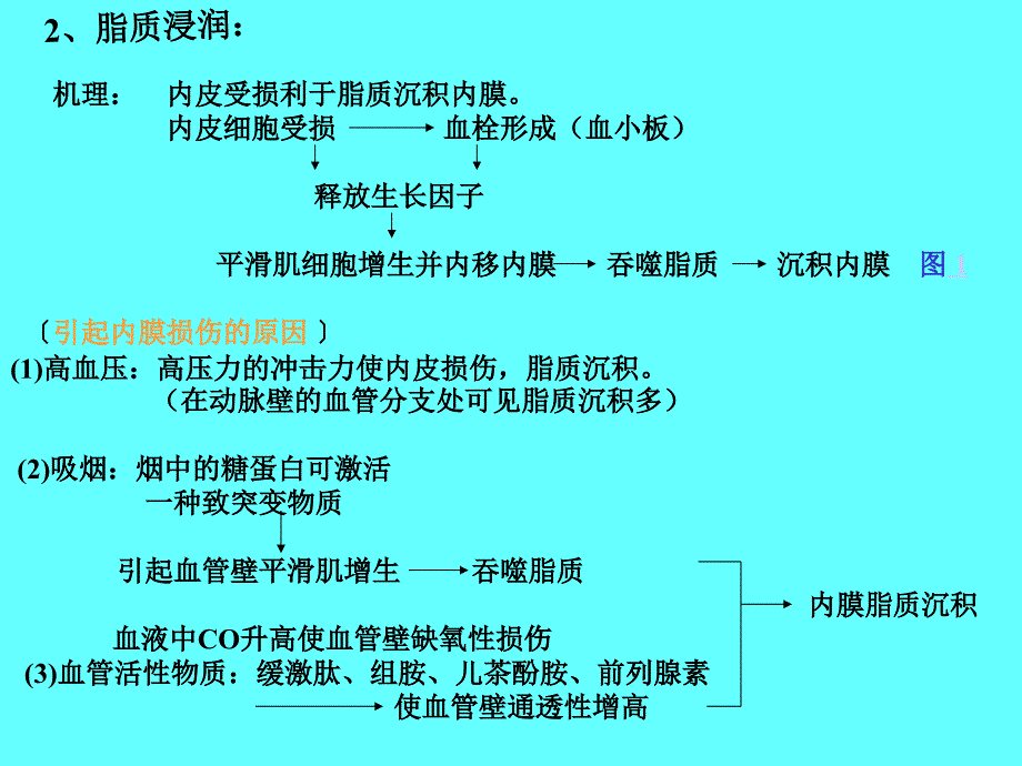 《动脉硬化相关知识》ppt课件_第3页