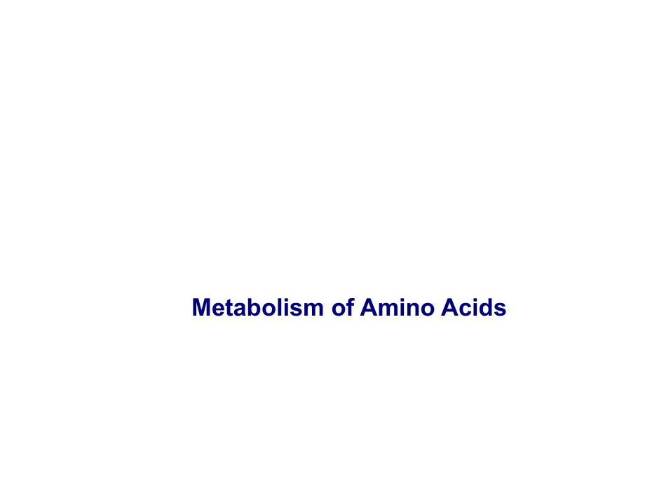 《氨基酸代谢》ppt课件-2_第1页