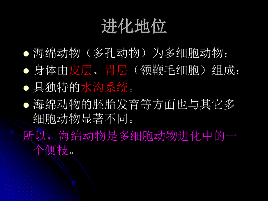 《海绵动物门》ppt课件_第2页