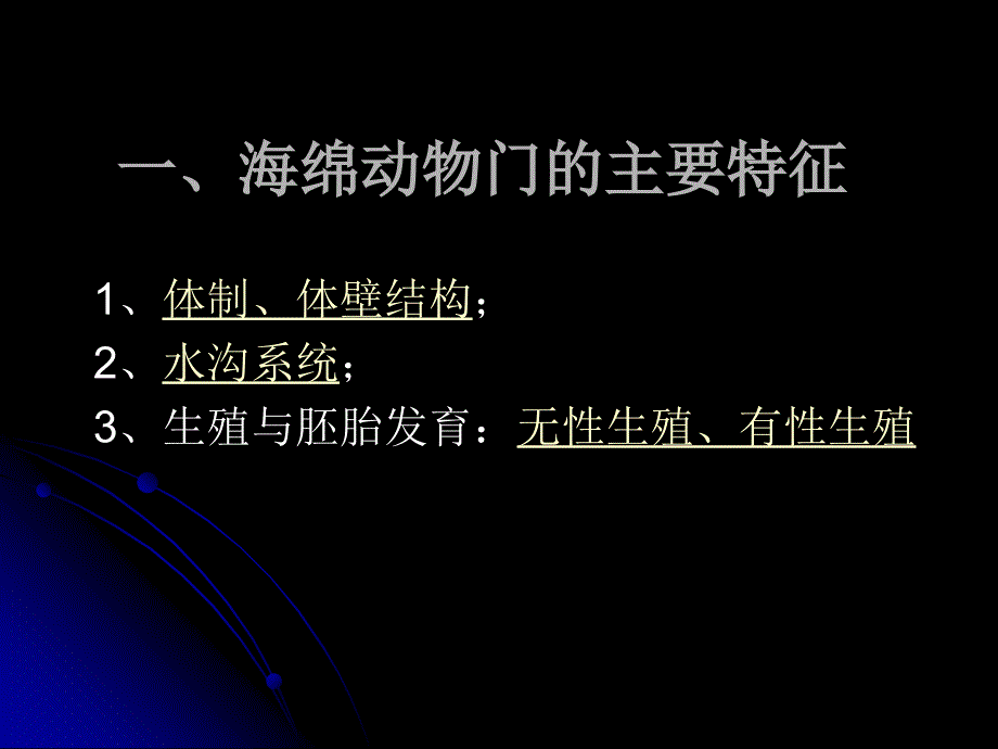 《海绵动物门》ppt课件_第3页