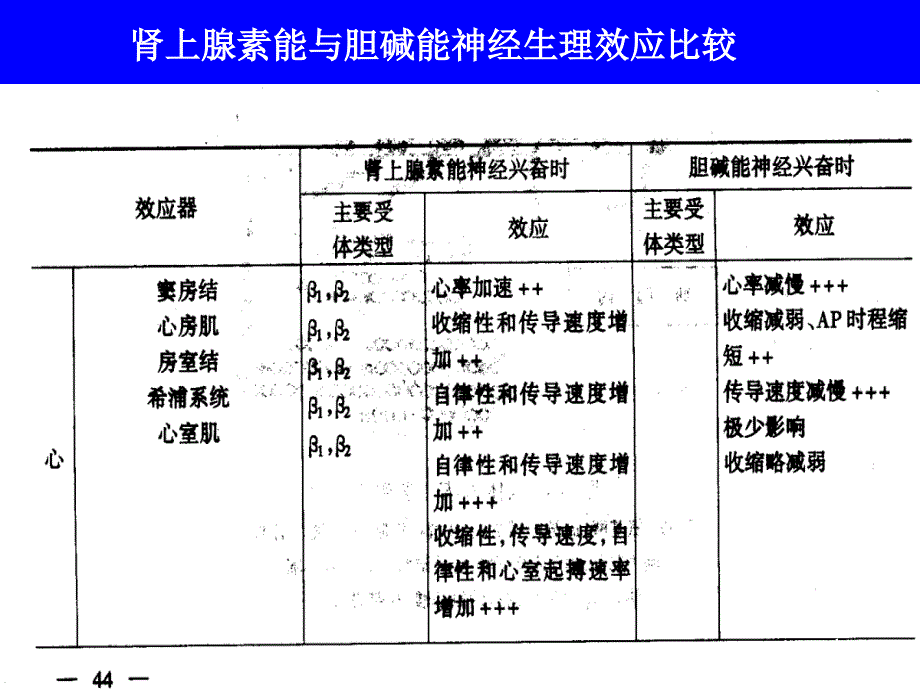 肾上腺素受体激动剂、肾上腺素受体拮抗剂_第1页