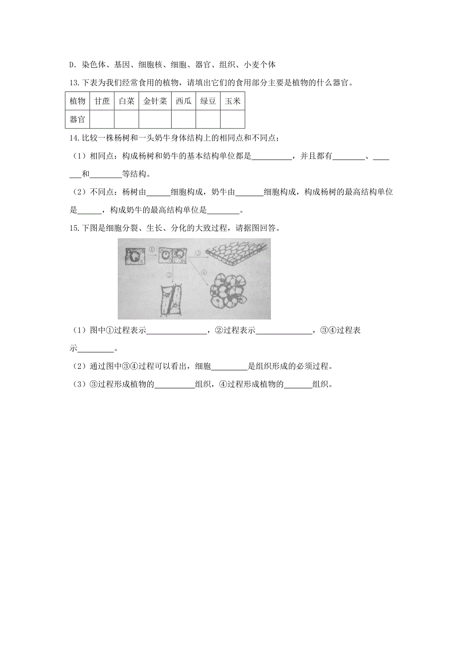 《生物体有相似的组成层次》教案2（苏科版七年级下）_第4页