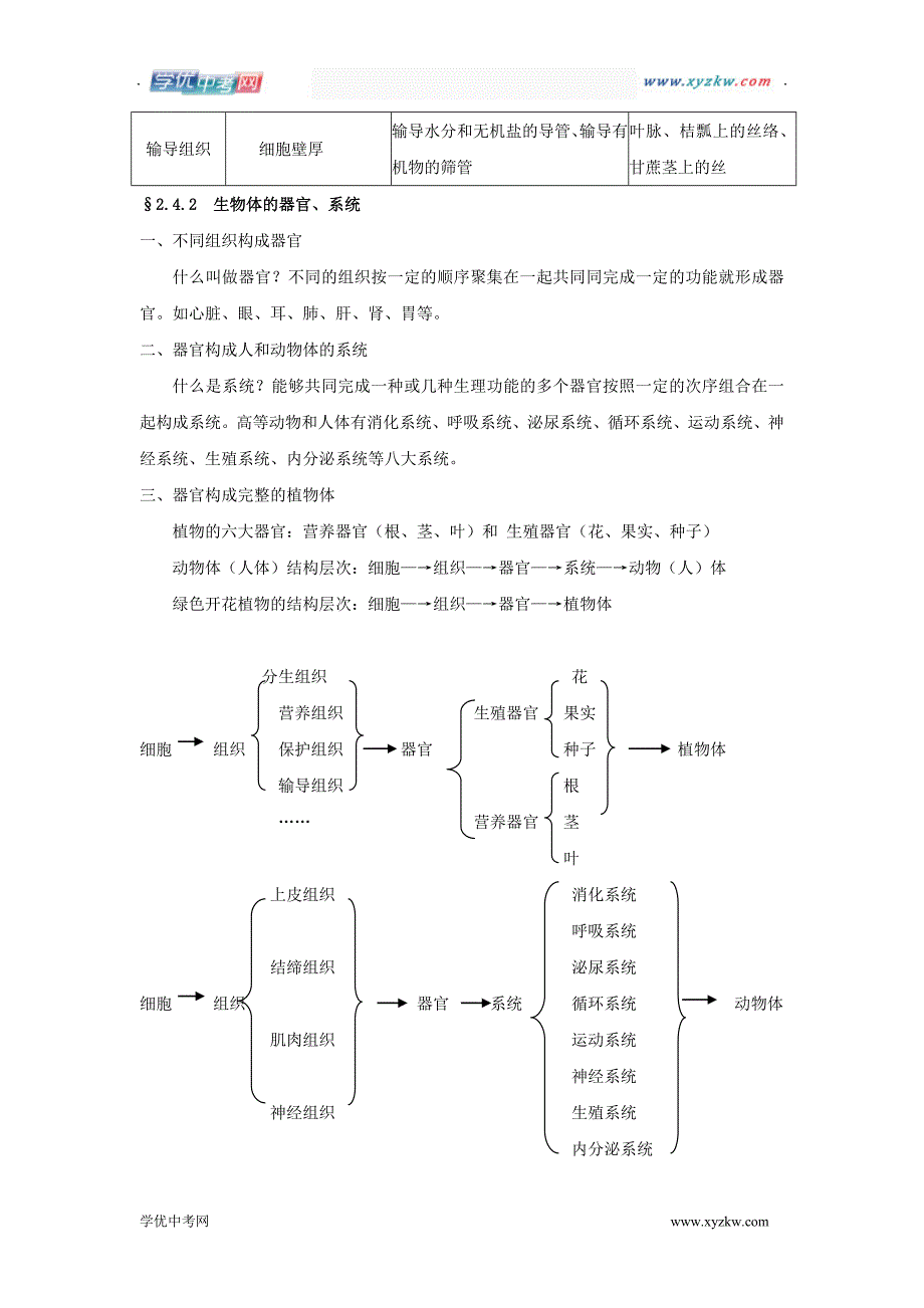 中考生物知识点总结：《生物体的结构层次》（北师大版七年级上册）_第2页