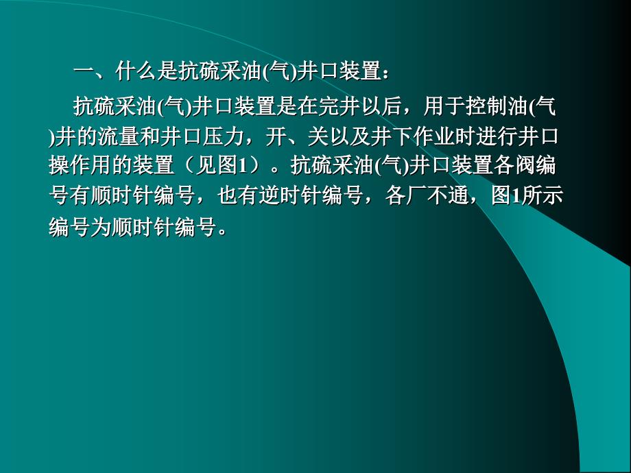 抗硫采油气井口装置-2_第2页