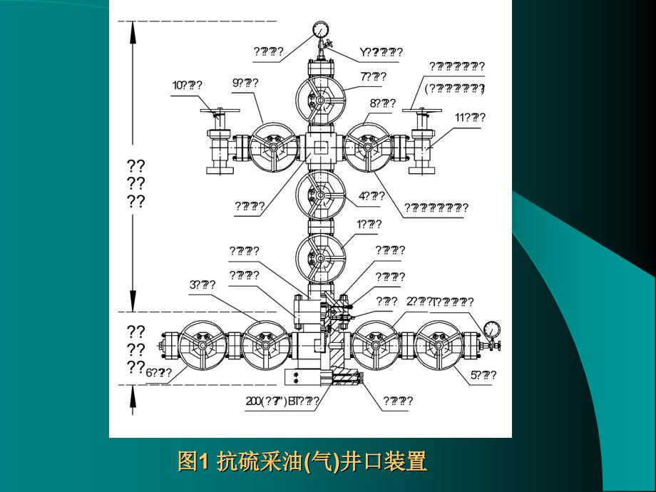 抗硫采油气井口装置-2_第3页