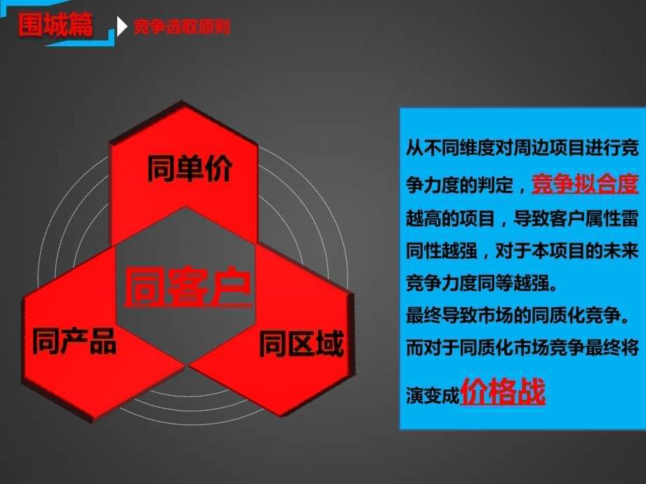 合肥力高-共和城营销总纲.ppt_第5页