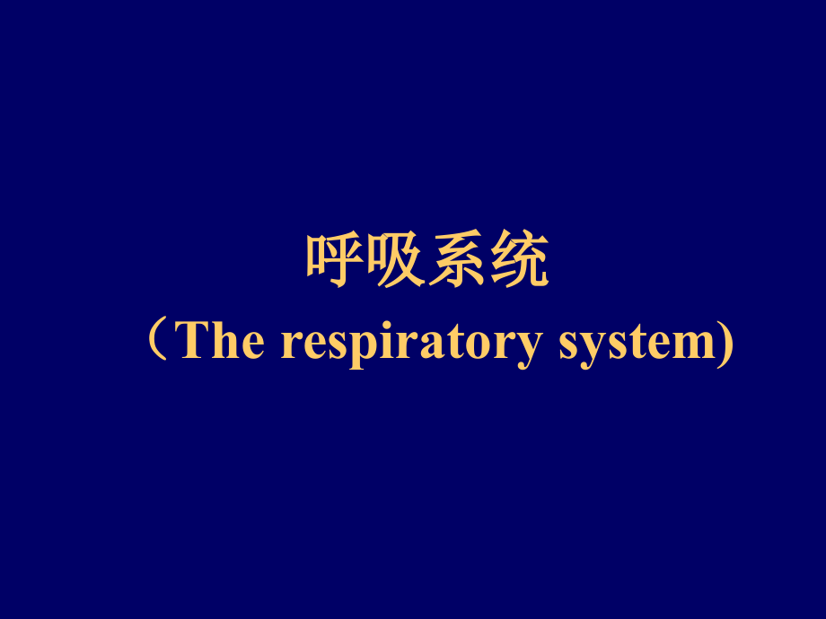 病理学呼吸系统精美课件附大量_第1页