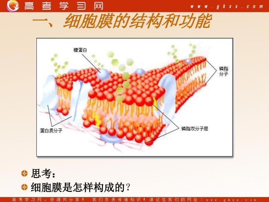 生命活动的基本单位—细胞》课件759张苏教版必修_第5页