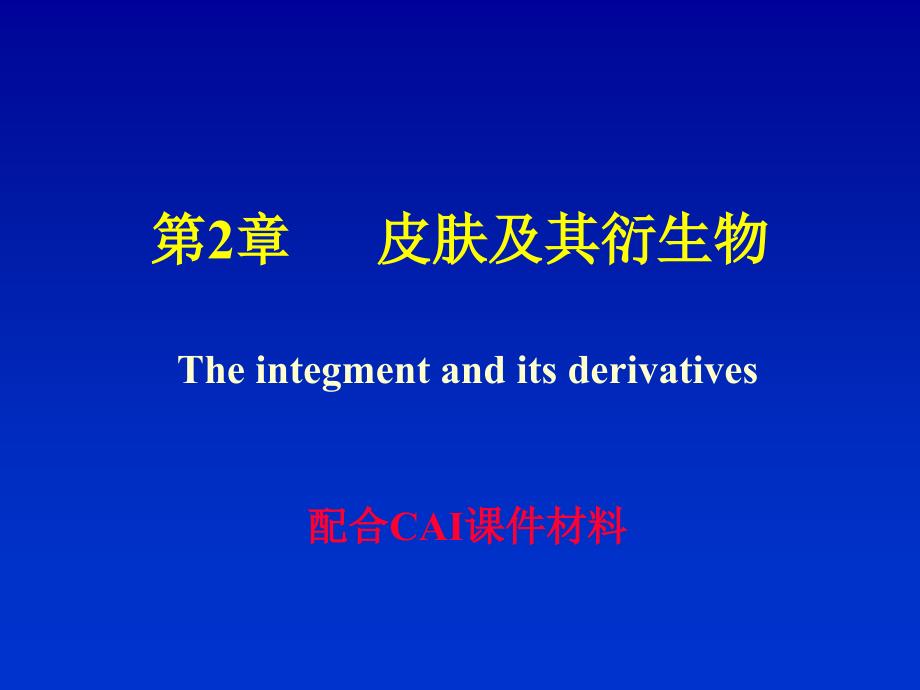 鱼类学皮肤及衍生物_第1页
