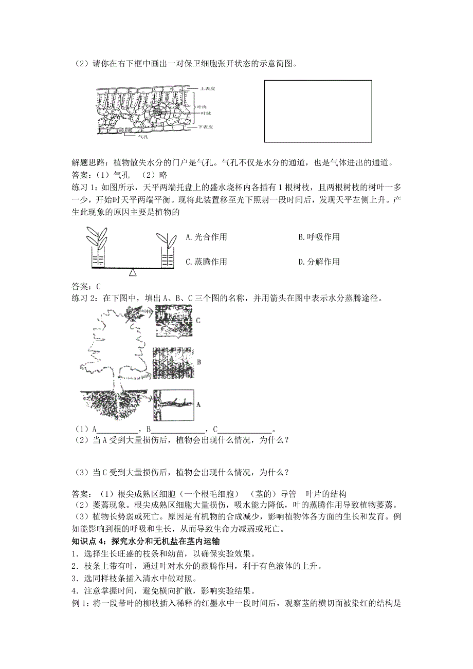 《绿色植物与生物圈是水循环》 学案（人教版七年级上）_第3页