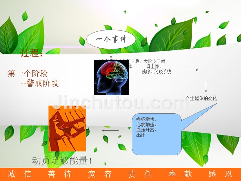 《氨基丁酸养生的》ppt课件_第5页