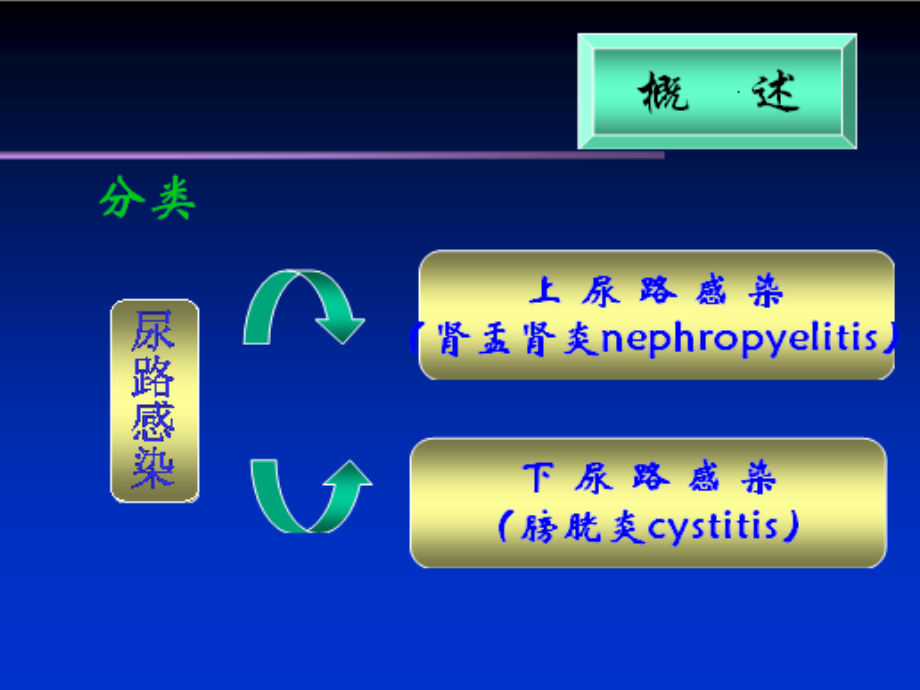 《尿路感染urinary》ppt课件_第4页