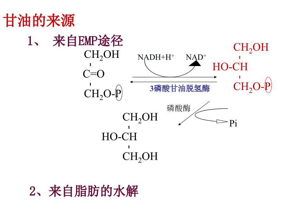 脂类的生物合成-2_第4页