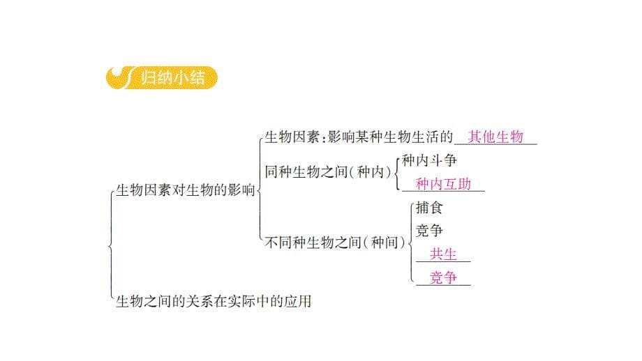 (冀少版)生物八年级下册课件：第七单元　生物与环境第一章　第一节　环境对生物的影响 第2课时_第5页