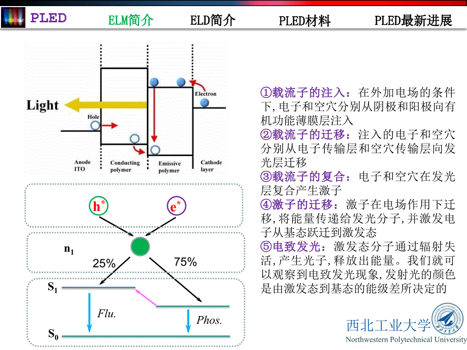 【5A文】有机高分子电致发光材料及器件_第4页