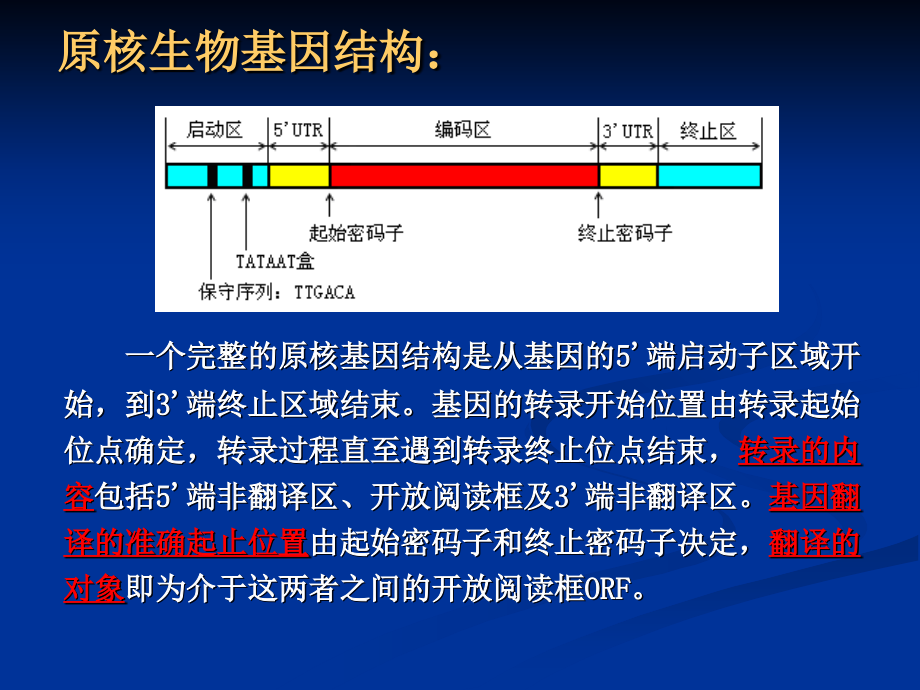 《序列特征分析》ppt课件_第3页