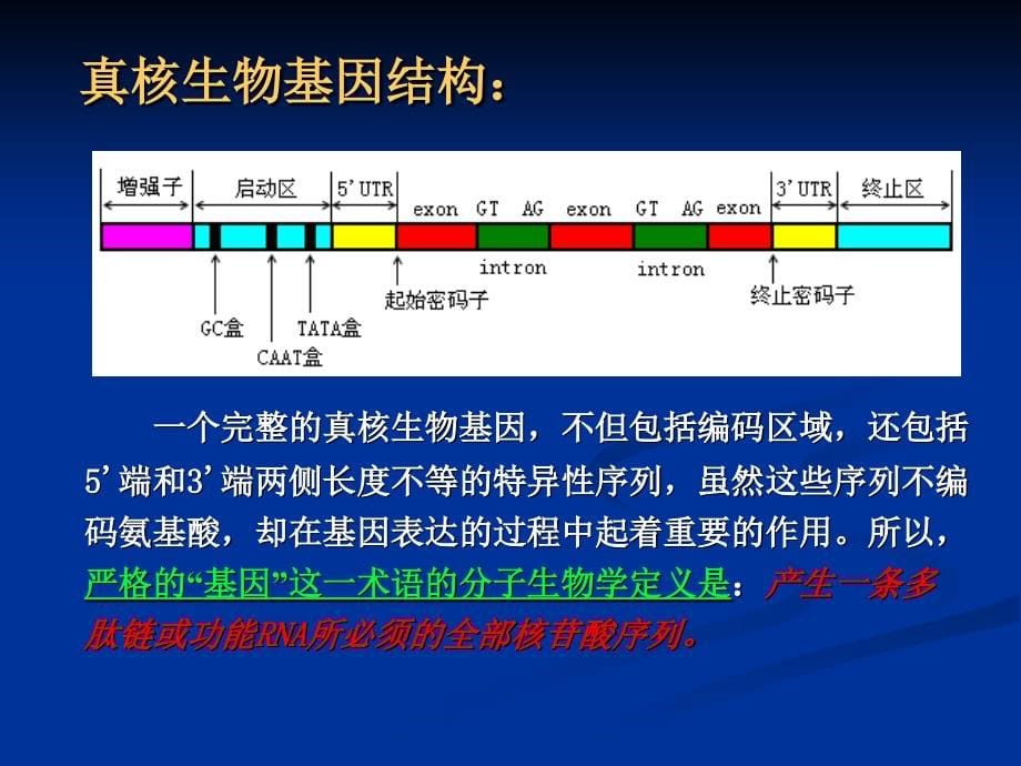 《序列特征分析》ppt课件_第5页