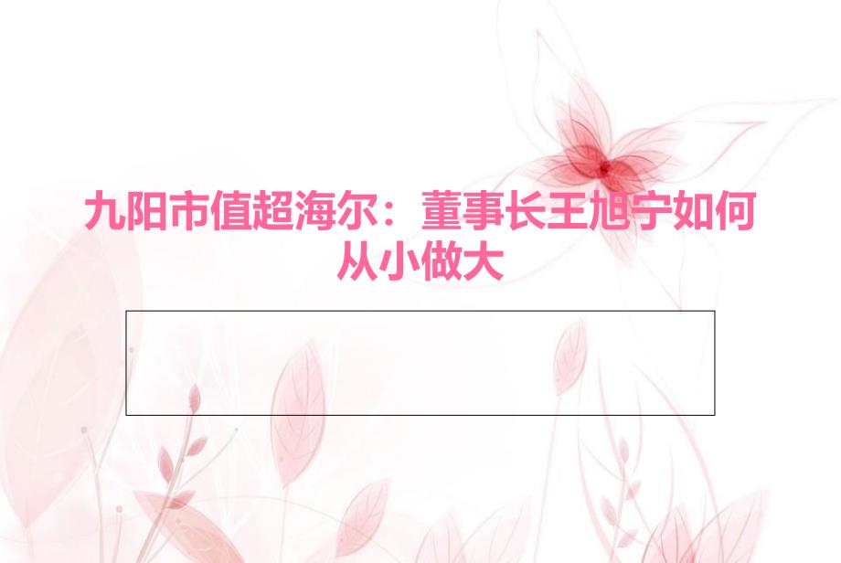 阳市值超海尔：董事长王旭宁如何从小做大-2_第1页
