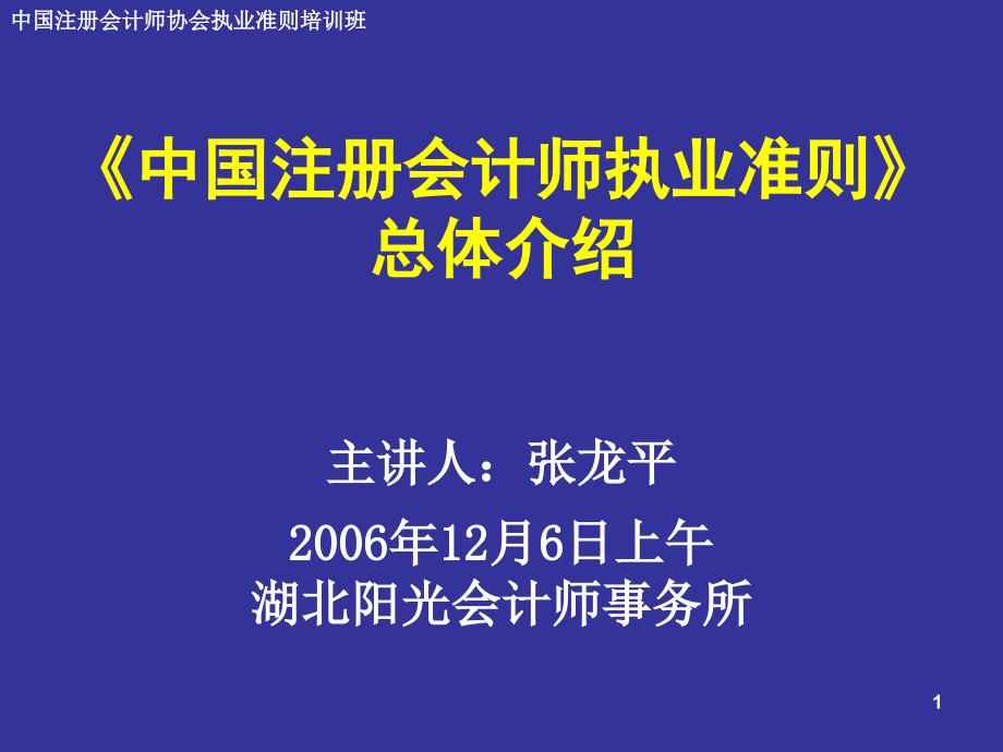 张龙平用准则总揽与了解风险准则讲解_第1页