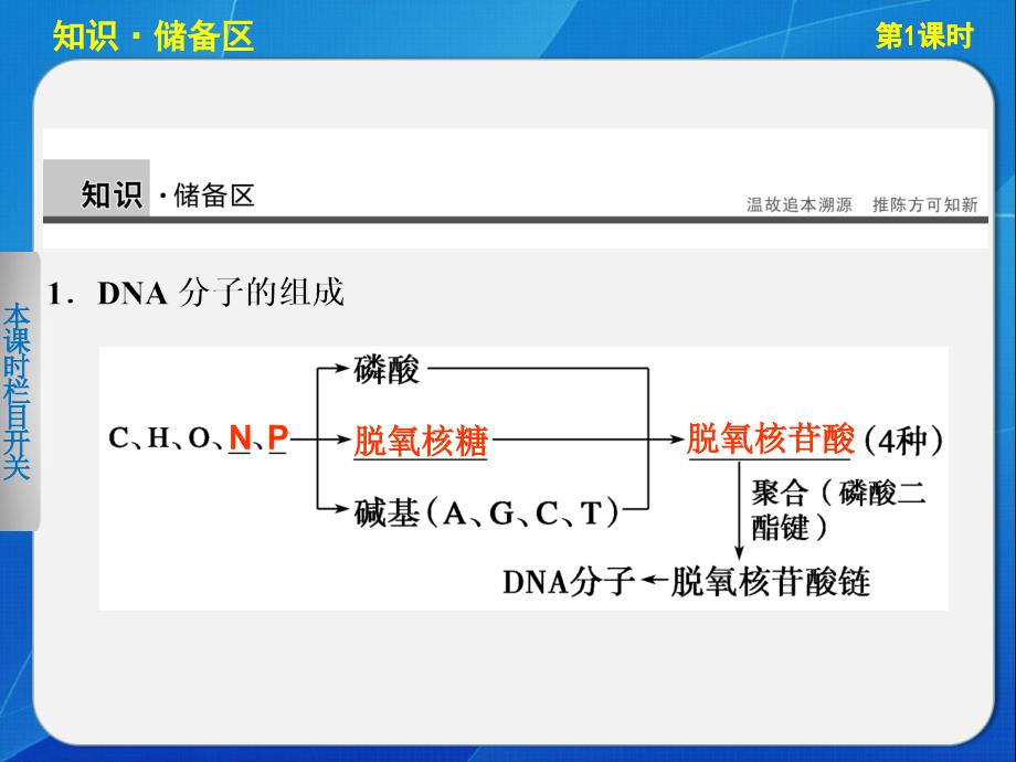 dna重组技术的基本工具-同步课件(人教版选修3)_第3页