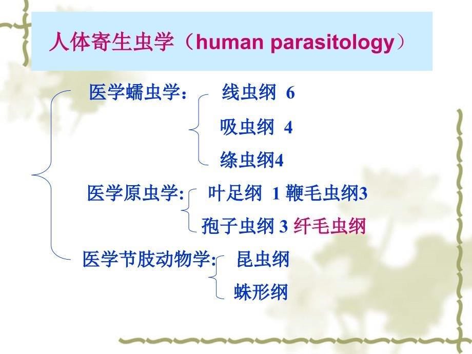 《人体寄生虫》ppt课件_第5页