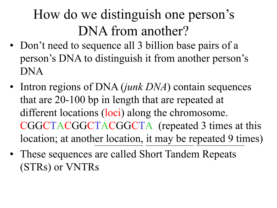 chapter8dnafingerprintingandforensicanalysis：8章dna指纹图谱和法医分析_第3页