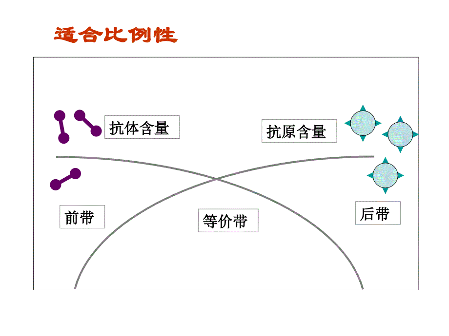 《琼脂扩散实验》ppt课件_第4页