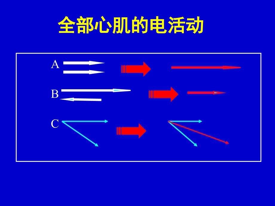 《心电图概述》ppt课件_第5页