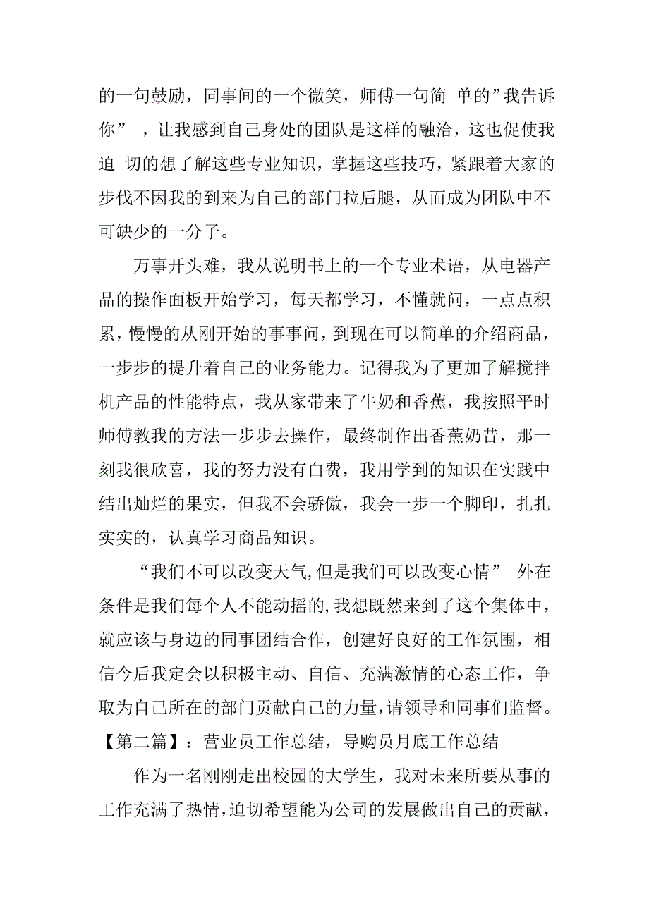 导购员月底工作总结.doc_第2页