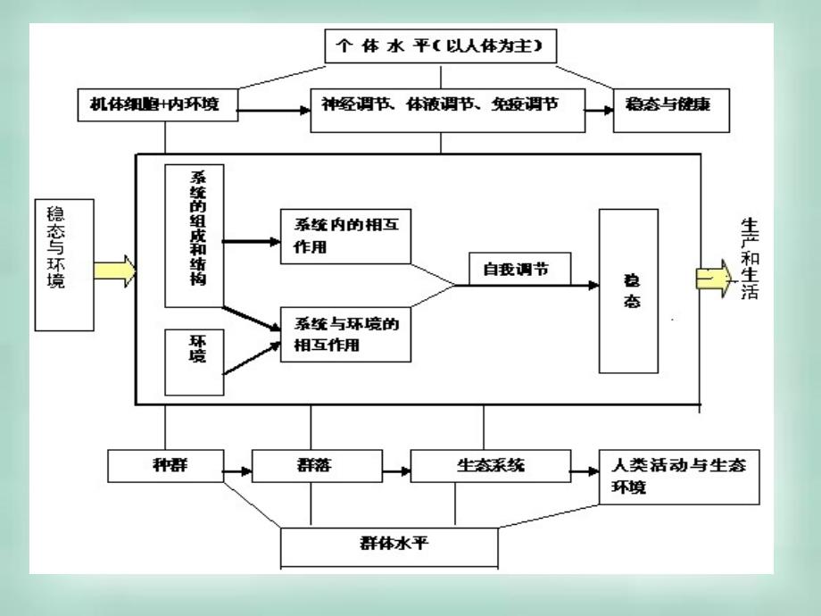 稳态与环境》复习要点_第2页