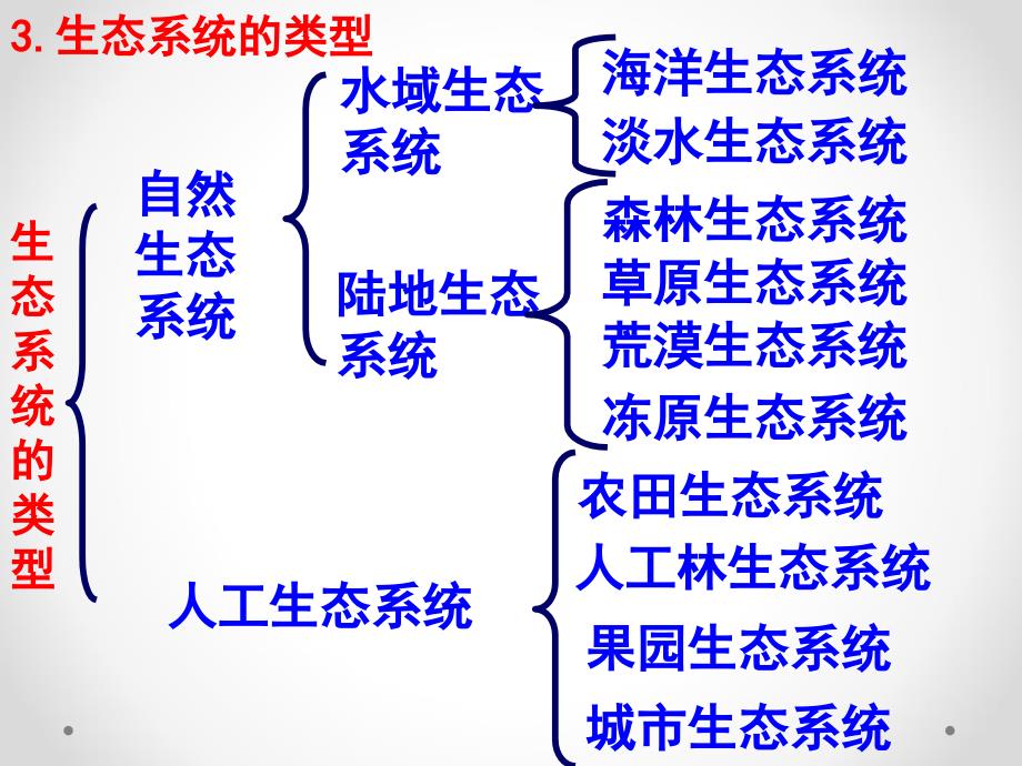 生态系统的结构-2_第4页