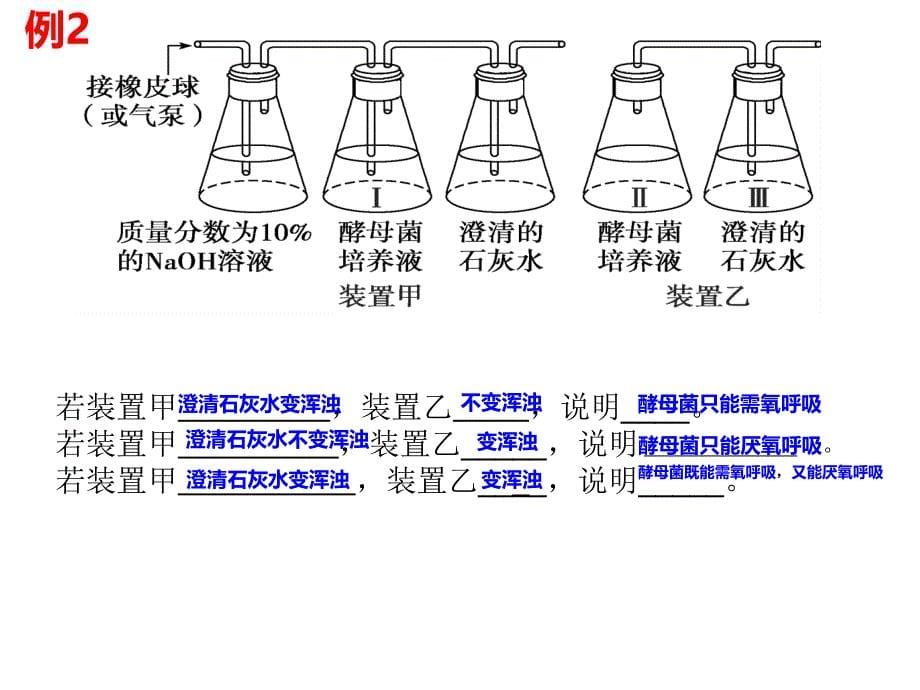 《细胞呼吸实验探究》ppt课件_第5页