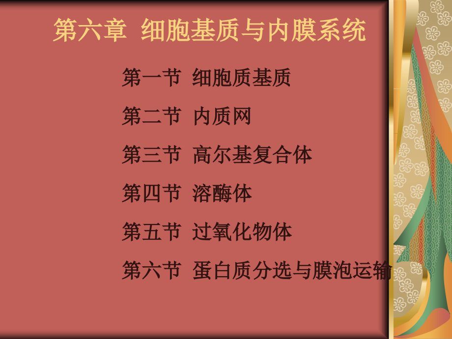 细胞基质与内膜系统-2_第1页