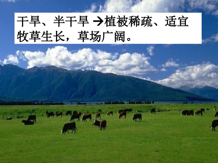 以畜牧业为主的农业地域类型（全_第3页
