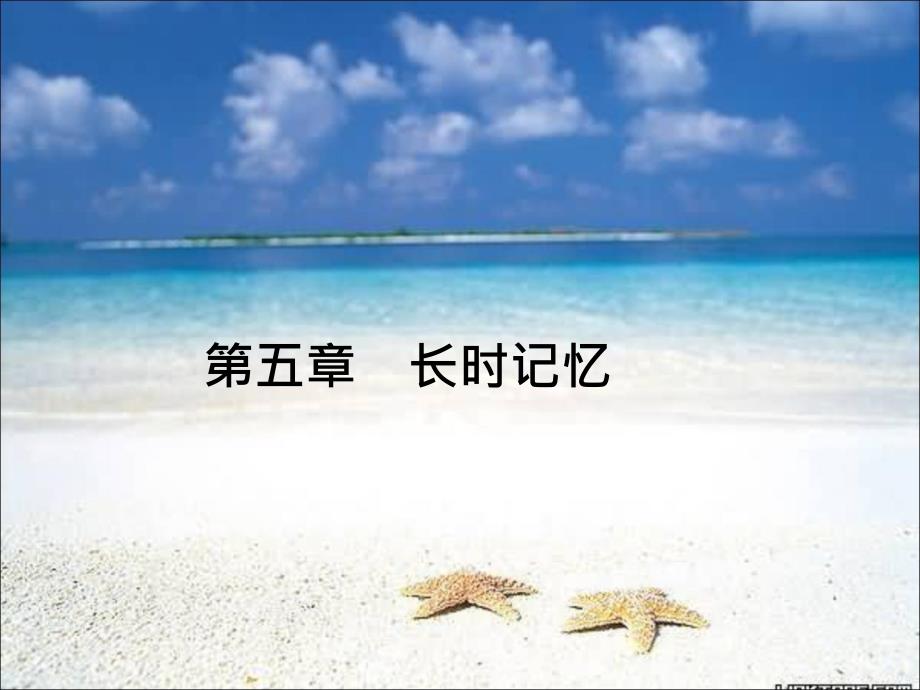 《长时记忆》ppt课件_第1页