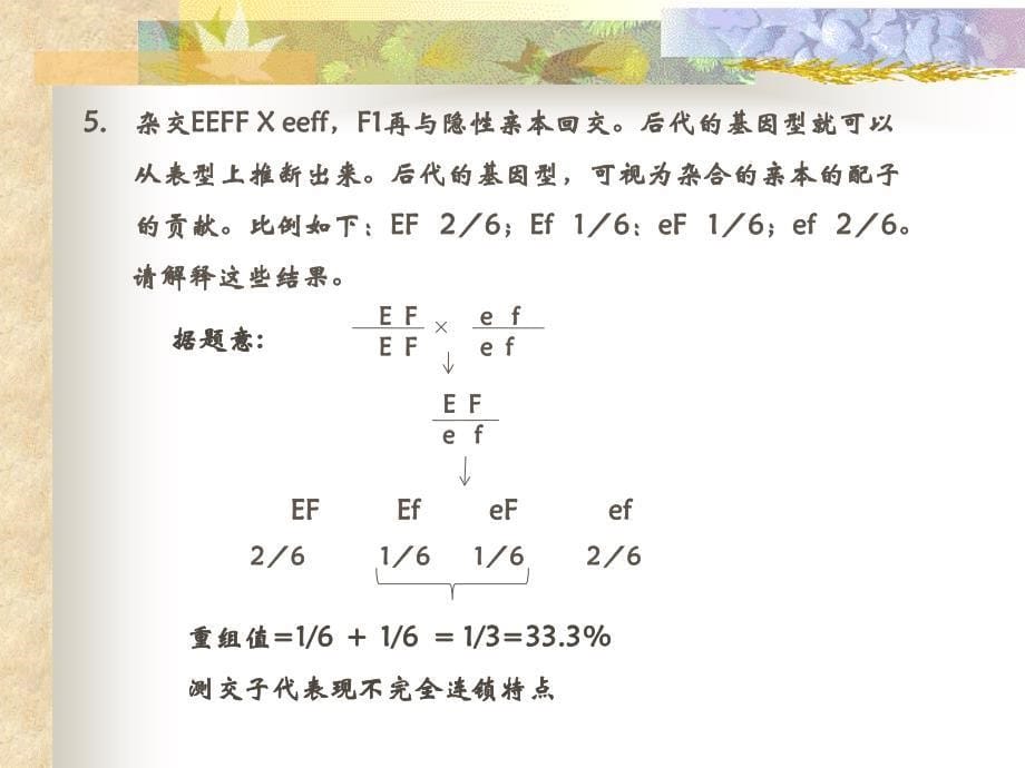 《连锁遗传》ppt课件-2_第5页