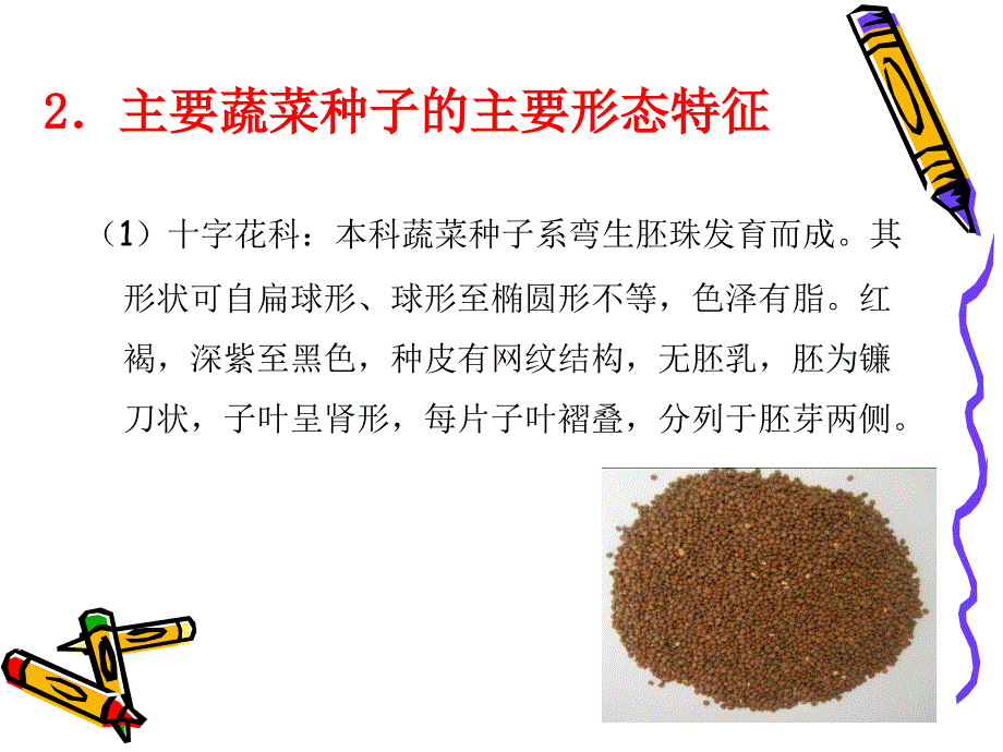 《蔬菜种子形态识别》ppt课件_第4页