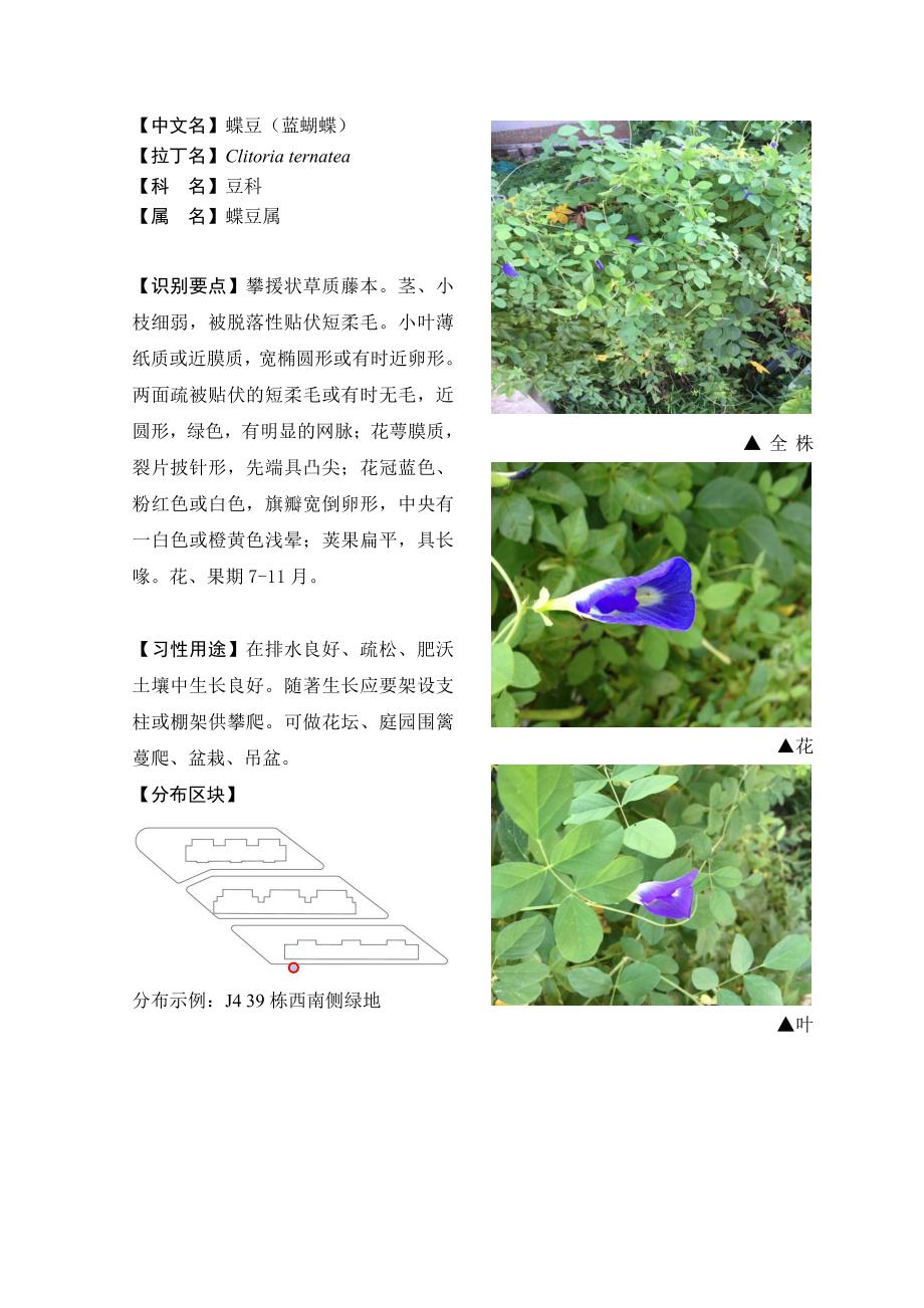海南大学热带花卉学实习_第1页