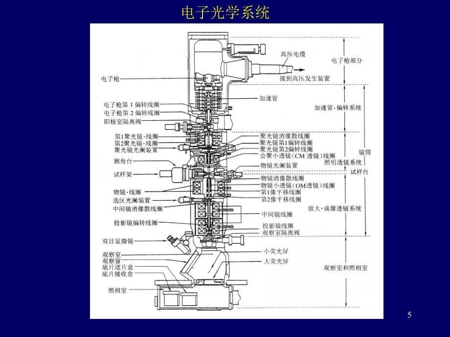 《电子显微镜》ppt课件_第5页